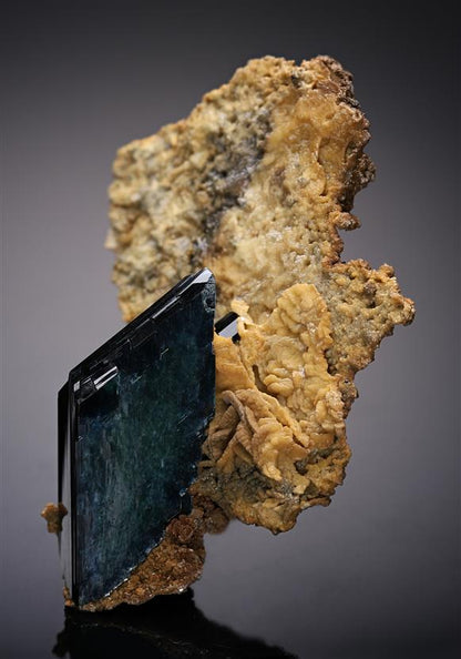 CC19109 specimen image