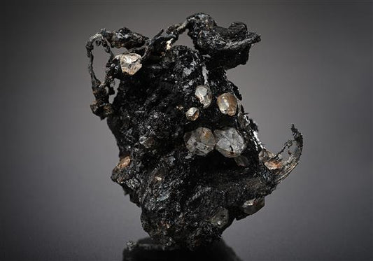 CC19112 specimen image