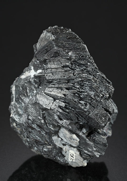 CC19113 specimen image