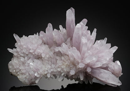CC19120 specimen image
