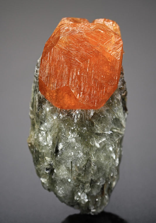 CC19124 specimen image