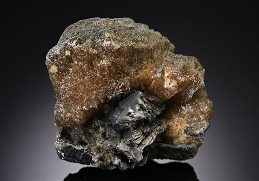 CC19143 specimen image
