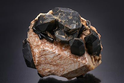 CC19153 specimen image