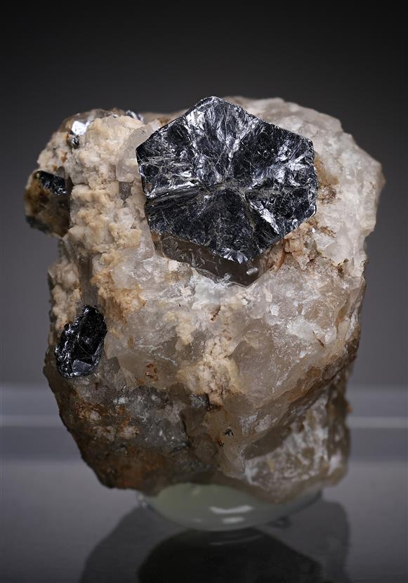 CC19158 specimen image