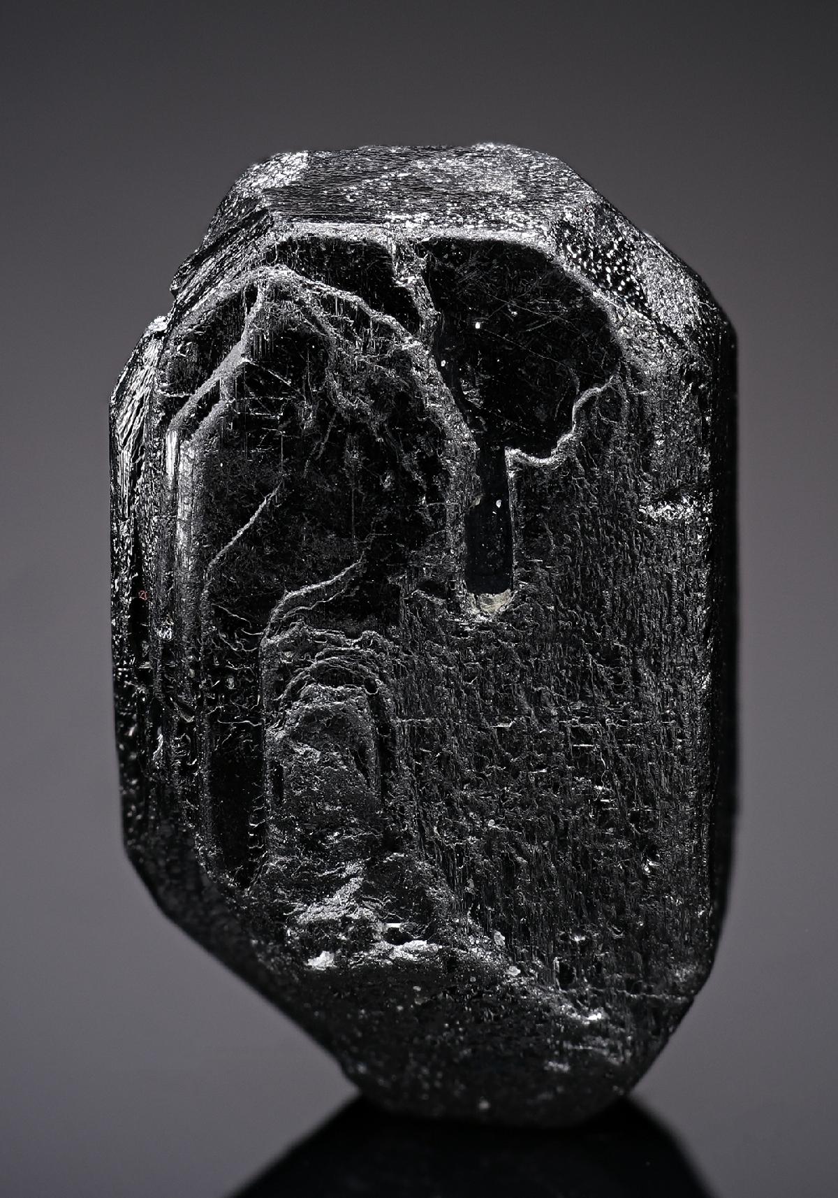 CC19161 specimen image