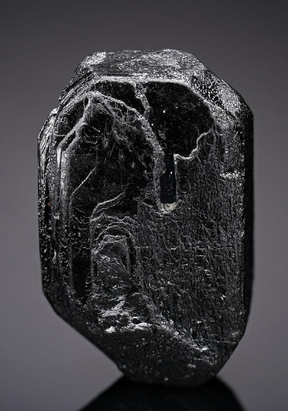 CC19161 specimen image