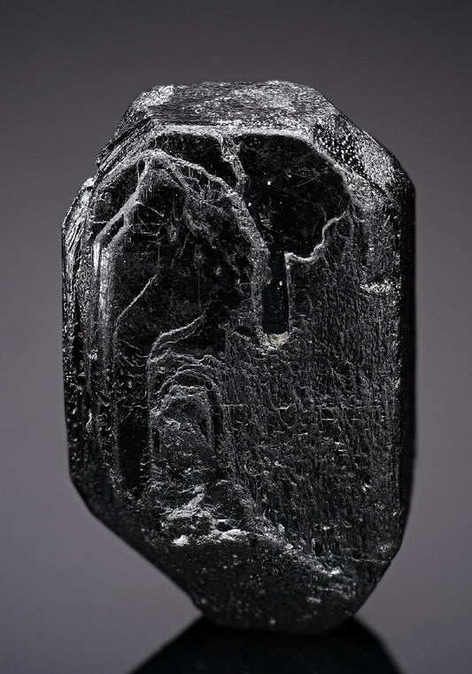 CC19161 specimen image