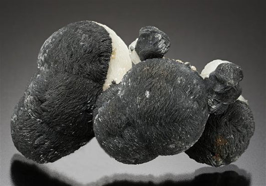 CC19167 specimen image