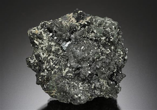 CC19196 specimen image