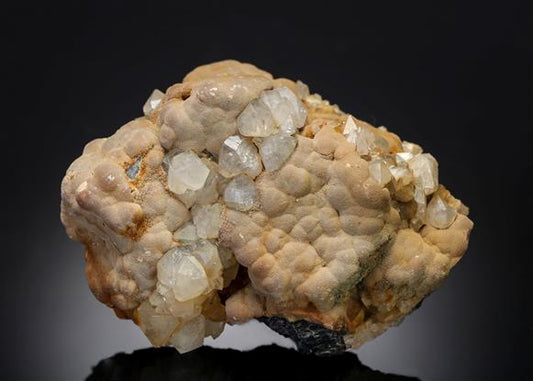CC19215 specimen image