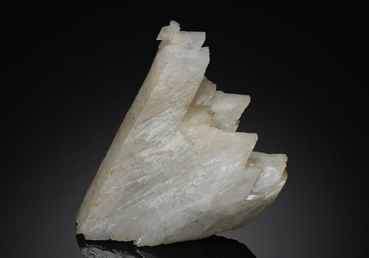 CC19216 specimen image