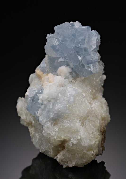 CC19217 specimen image