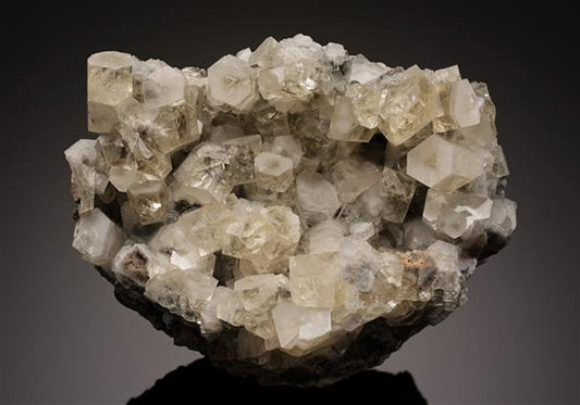 CC19219 specimen image