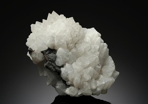 CC19222 specimen image