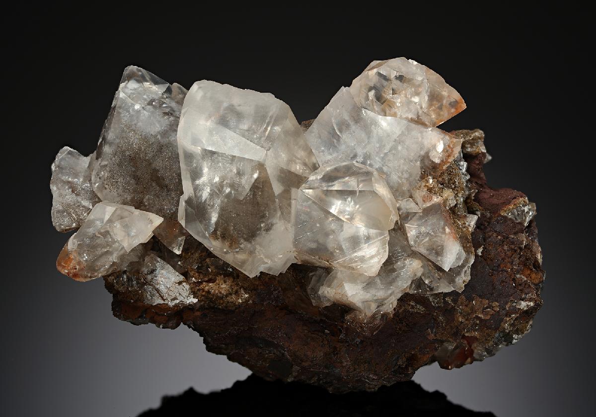 CC19254 specimen image
