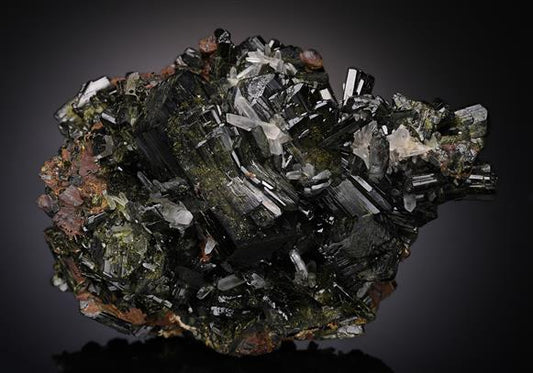 CC19259 specimen image