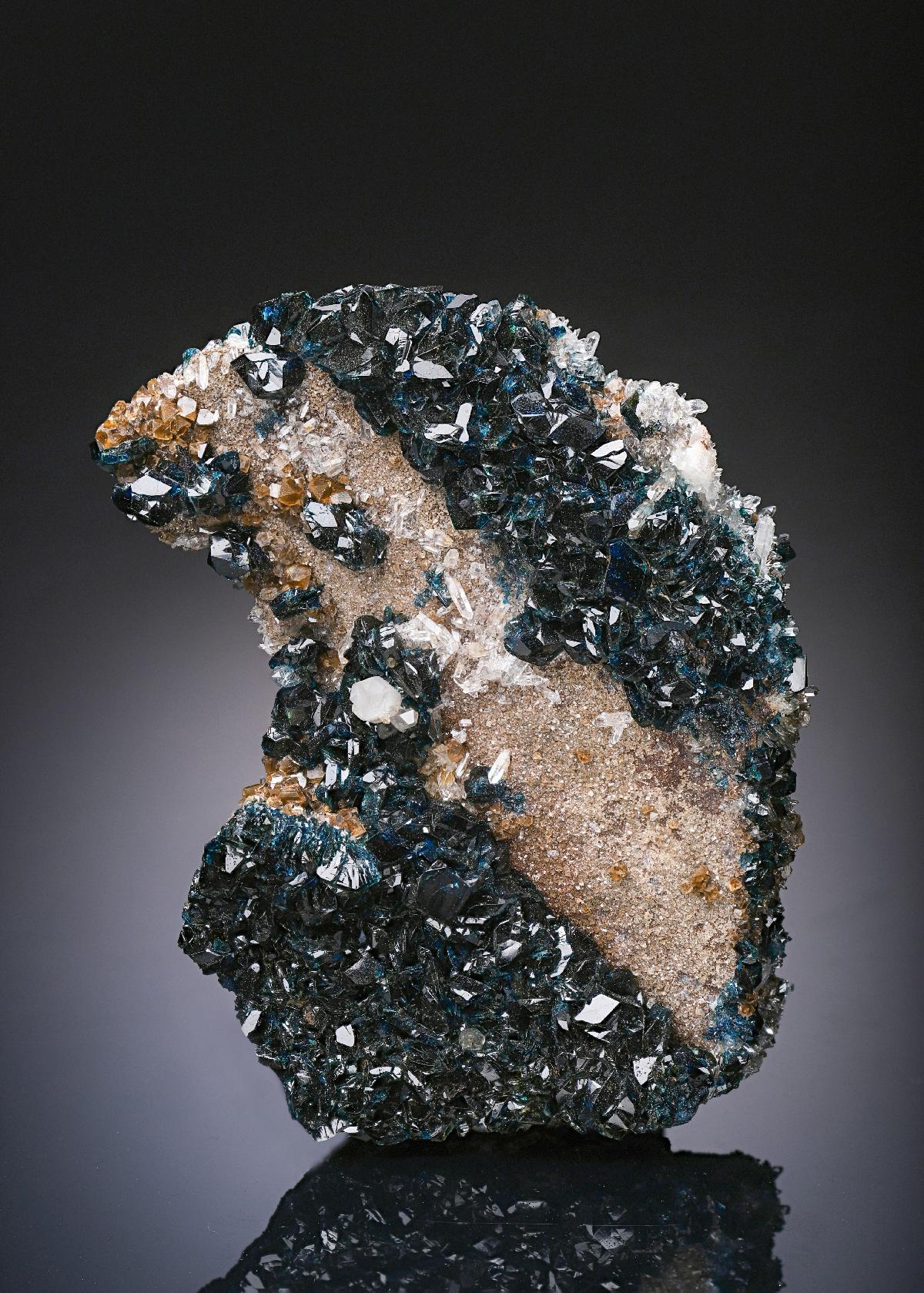 CC19260 specimen image