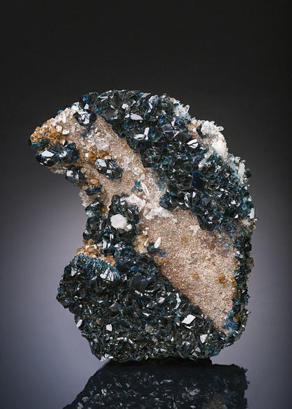 CC19260 specimen image
