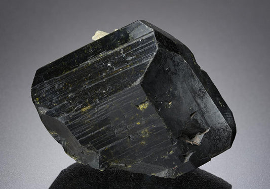 CC19261 specimen image