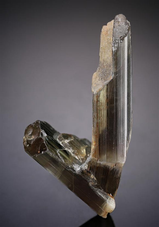 CC19276 specimen image