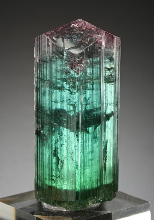 CC19278 specimen image
