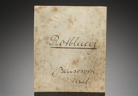 CC19282 specimen image