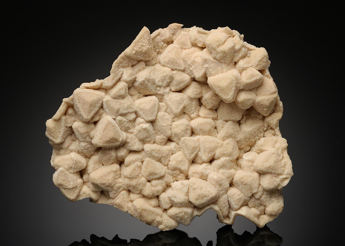 CC19289 specimen image