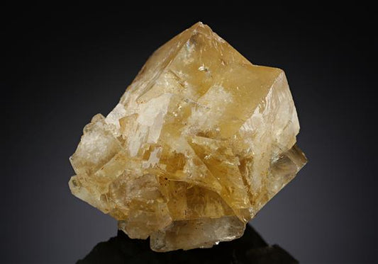 CC19293 specimen image