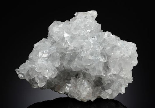 CC19317 specimen image
