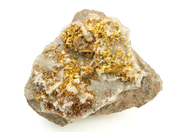 CC19345 specimen image