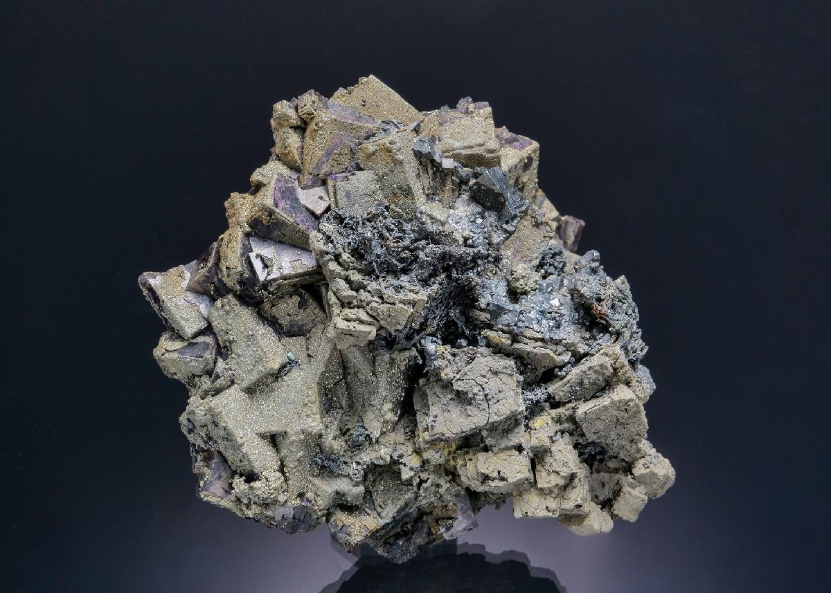 CC19365 specimen image