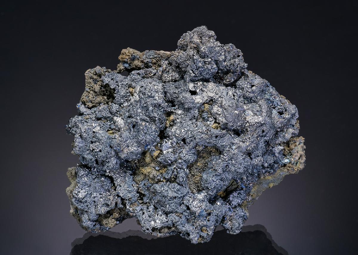 CC19370 specimen image