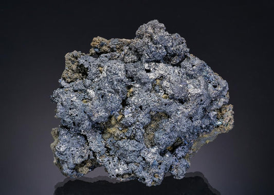 CC19370 specimen image