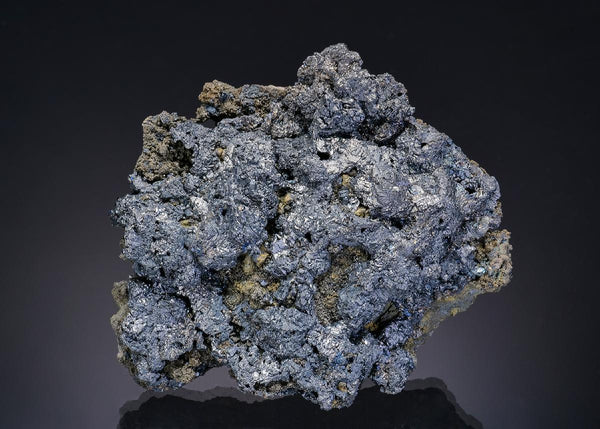 CC19370 specimen image