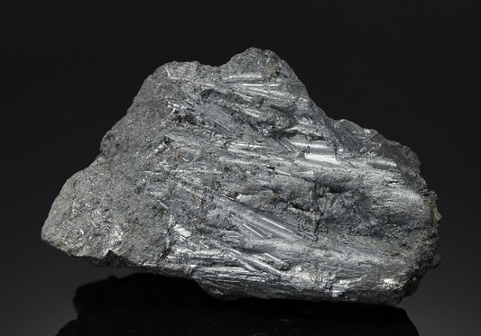 CC19385 specimen image