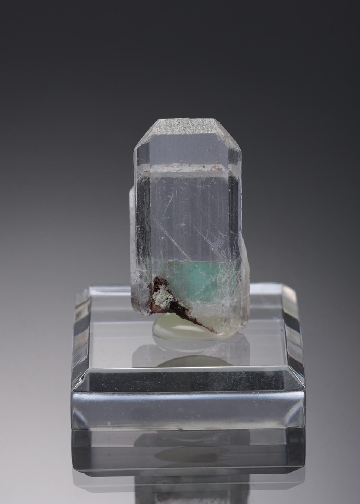 CC19386 specimen image