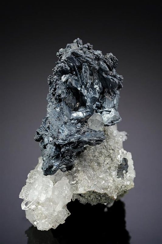 CC19400 specimen image