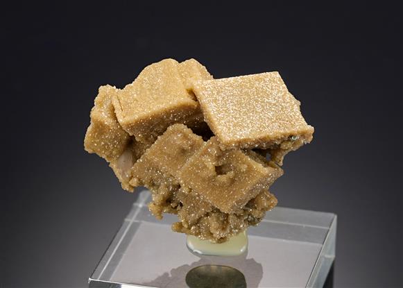 CC19404 specimen image