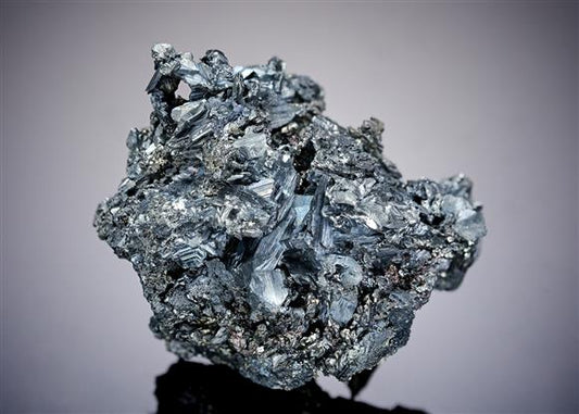 CC19406 specimen image