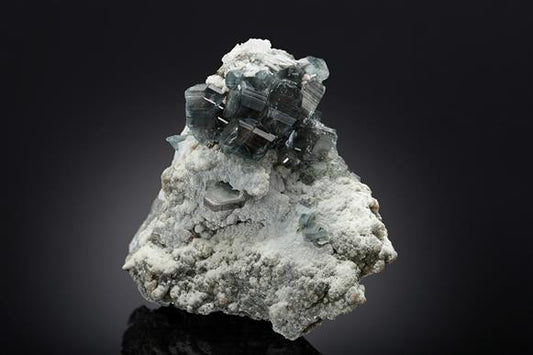CC19417 specimen image