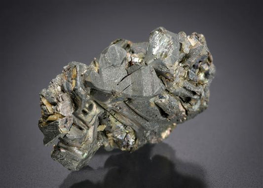 CC19421 specimen image