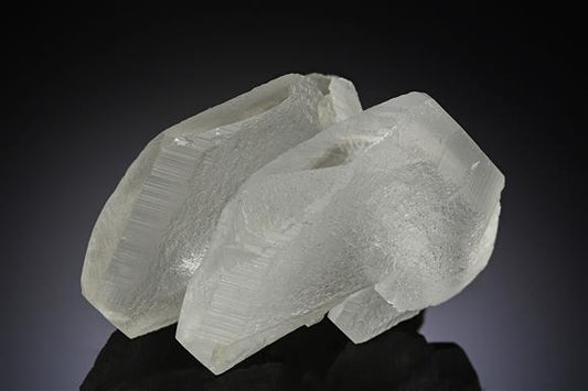 CC19425 specimen image