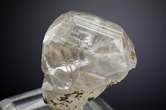 CC19426 specimen image