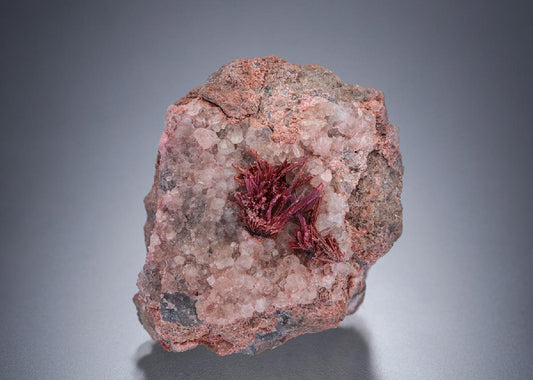 CC19438 specimen image