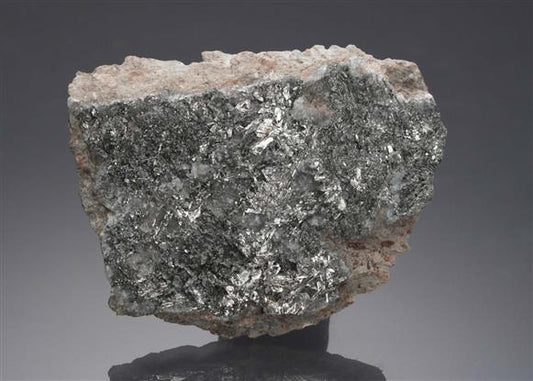 CC19444 specimen image