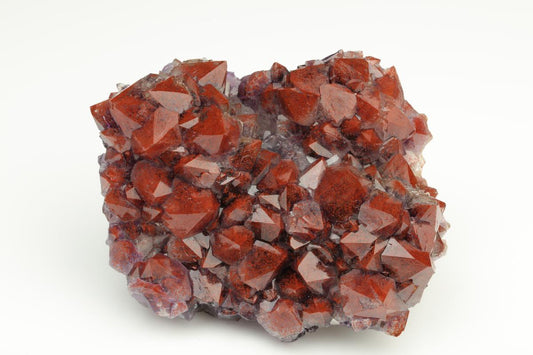 CC19450 specimen image