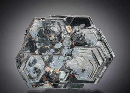 CC19470 specimen image
