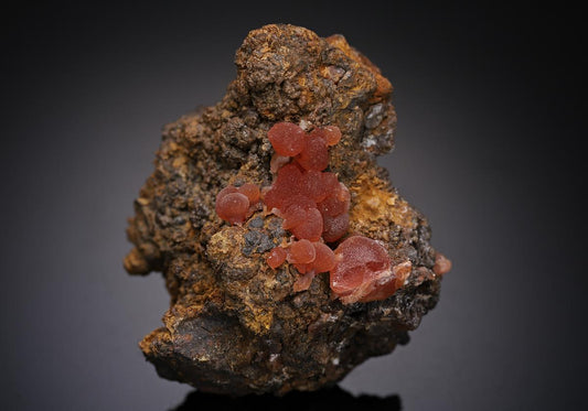 CC19480 specimen image