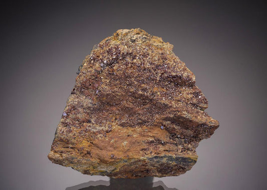 CC19483 specimen image
