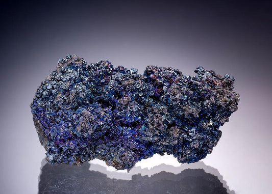 CC19488 specimen image